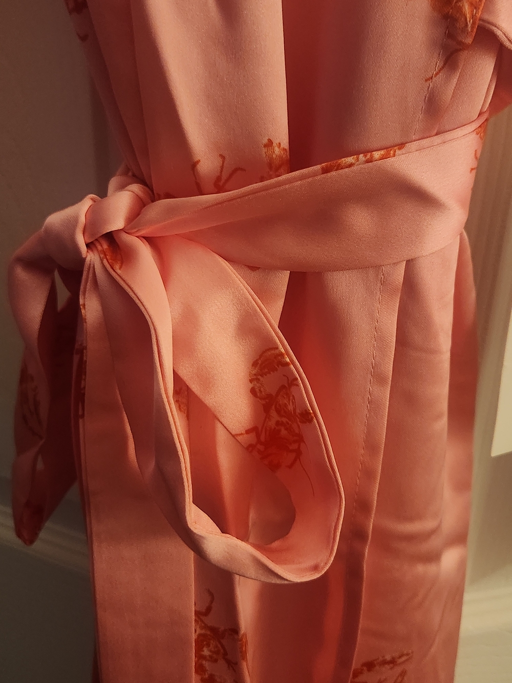 Never Fully Dressed Pink Dress with Red Lobster Print - Picture 10 of 13